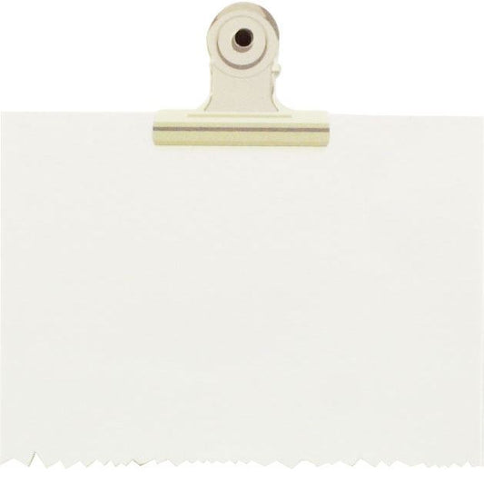 Metal Clip/Notes