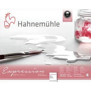 Hahnemuehle Expression Watercolour Pad  (Cold Pressed)