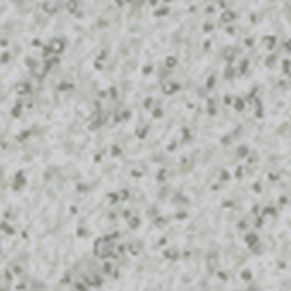 Sculpey Premo 8oz Gray Granite