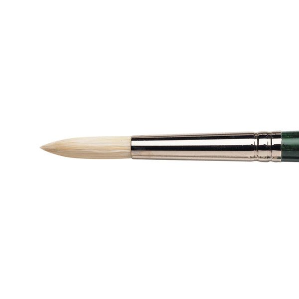 Winsor & Newton Galeria Hog Brush-Fan
