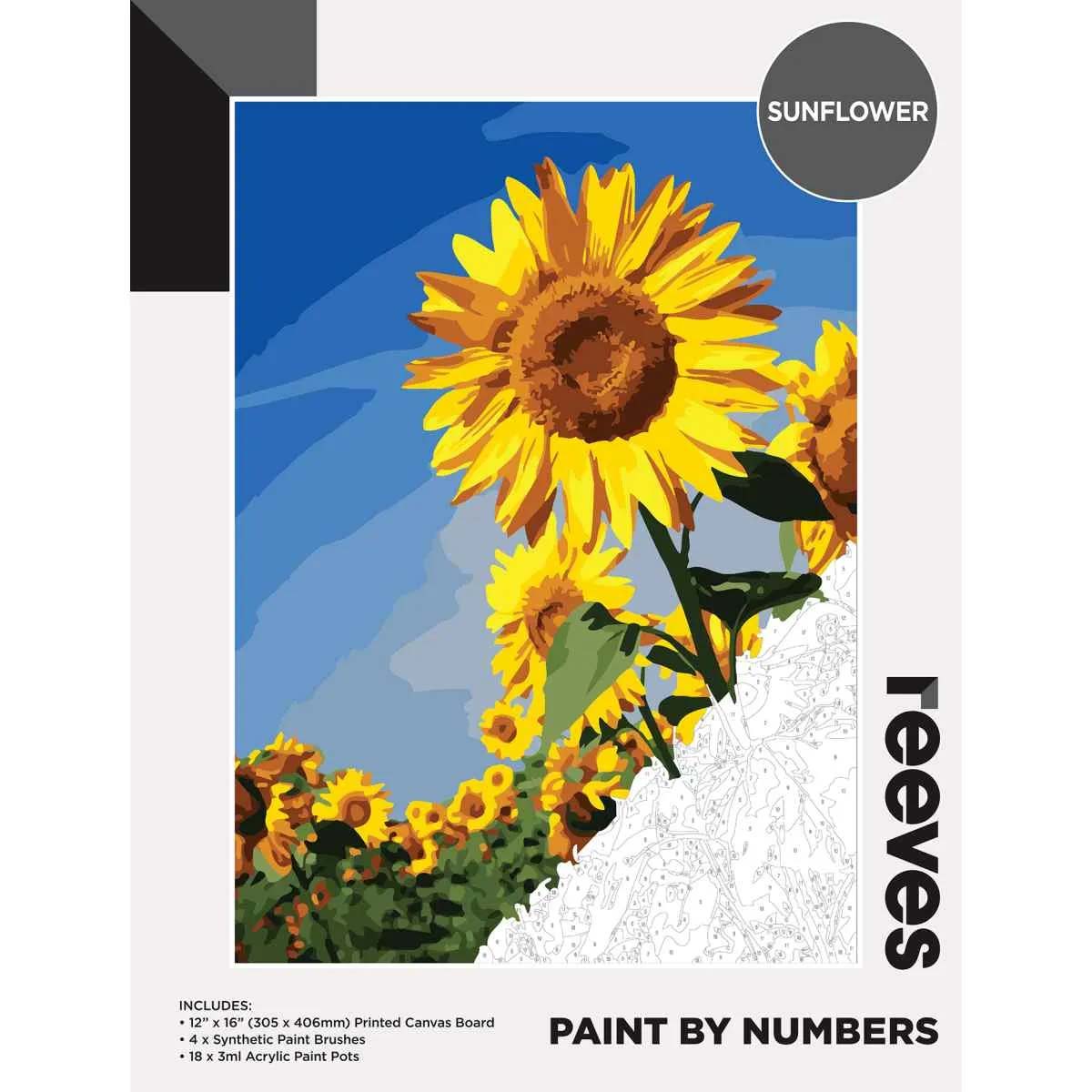 Reeves Paint by Numbers 12x16 inch