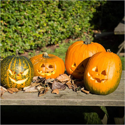 Pumpkin Carving Kit, 1 set