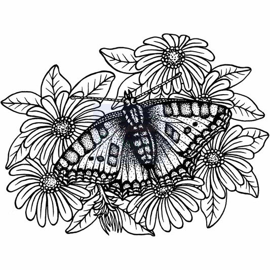 SD Tortoiseshell Butterfly on Michaelmas Daisies