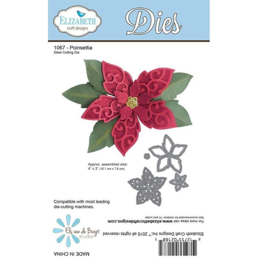 Poinsettia
