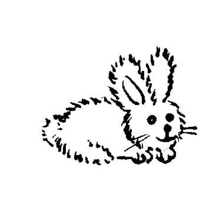 Fluffy Bunny