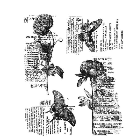 Tim Holtz - BOTANIC COLLAGE